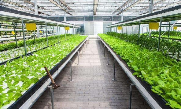 農產品產地環境監測